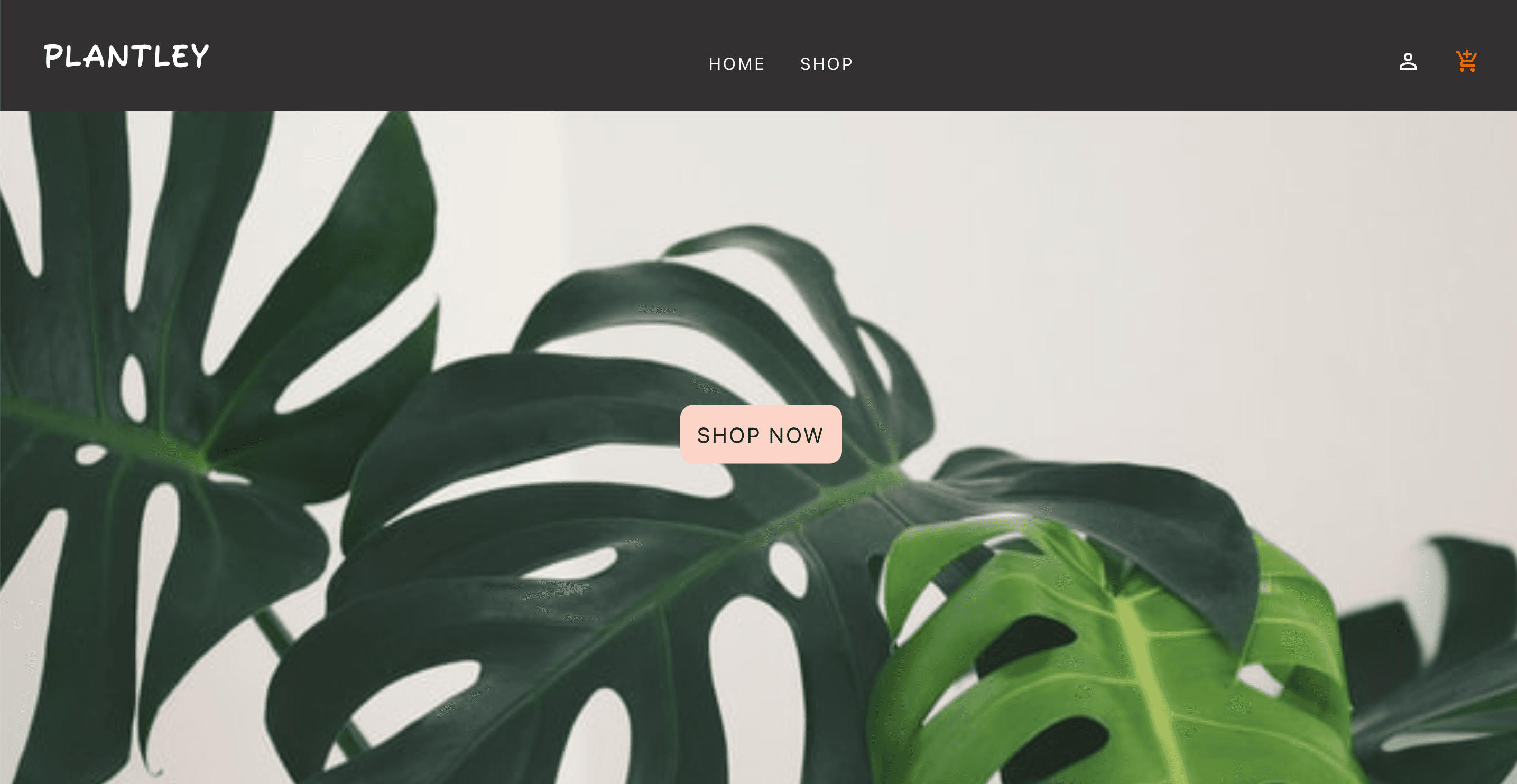 Image of e-commerce plant shop project